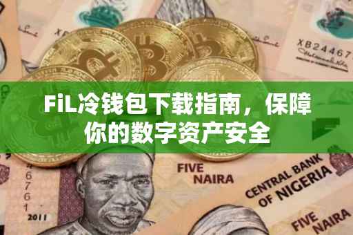 FiL冷钱包下载指南，保障你的数字资产安全