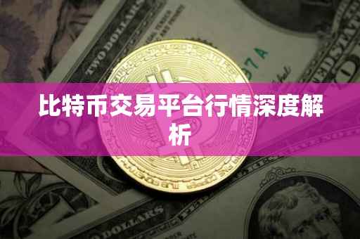 比特币交易平台行情深度解析
