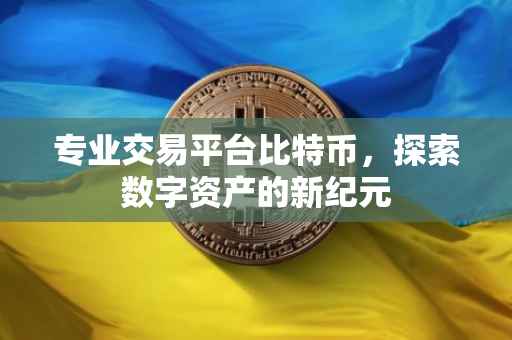 专业交易平台比特币，探索数字资产的新纪元