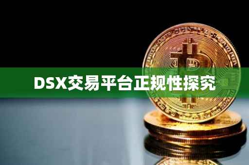 DSX交易平台正规性探究