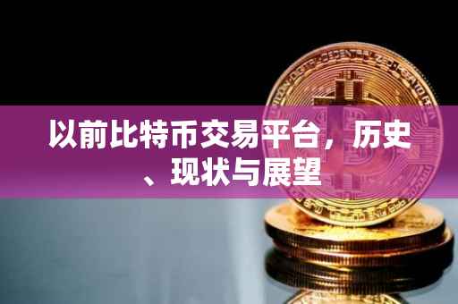以前比特币交易平台，历史、现状与展望