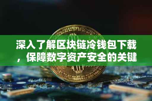 深入了解区块链冷钱包下载，保障数字资产安全的关键步骤