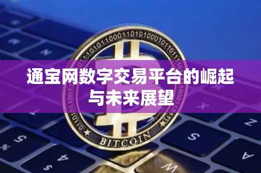 通宝网数字交易平台的崛起与未来展望