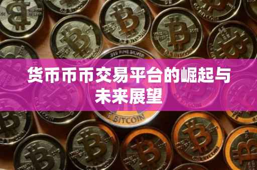 货币币币交易平台的崛起与未来展望