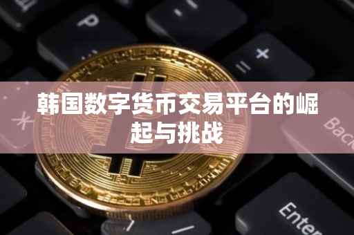 韩国数字货币交易平台的崛起与挑战