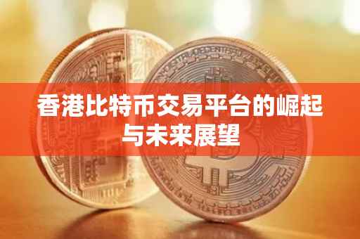 香港比特币交易平台的崛起与未来展望
