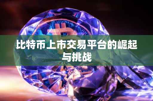 比特币上市交易平台的崛起与挑战