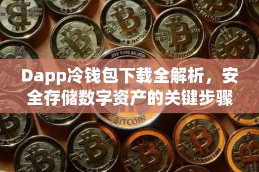 Dapp冷钱包下载全解析，安全存储数字资产的关键步骤