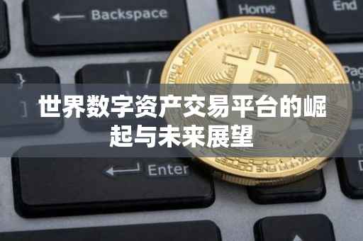 世界数字资产交易平台的崛起与未来展望