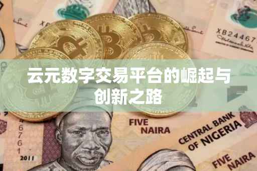 云元数字交易平台的崛起与创新之路