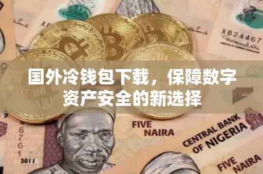 国外冷钱包下载，保障数字资产安全的新选择