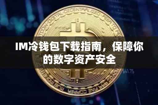 IM冷钱包下载指南，保障你的数字资产安全