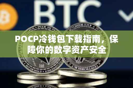 POCP冷钱包下载指南，保障你的数字资产安全