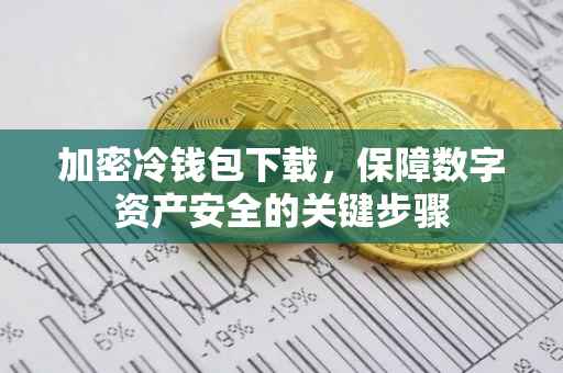 加密冷钱包下载，保障数字资产安全的关键步骤