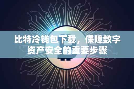比特冷钱包下载，保障数字资产安全的重要步骤