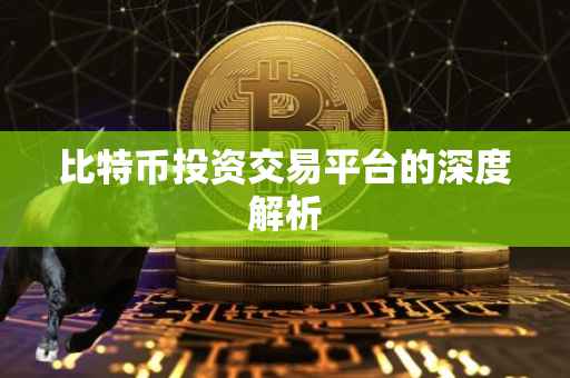 比特币投资交易平台的深度解析