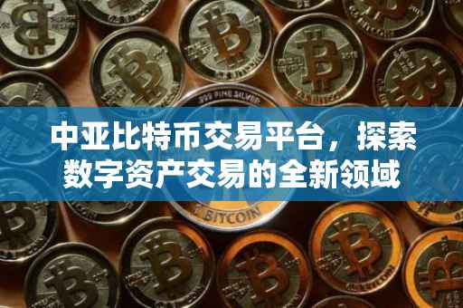 中亚比特币交易平台，探索数字资产交易的全新领域