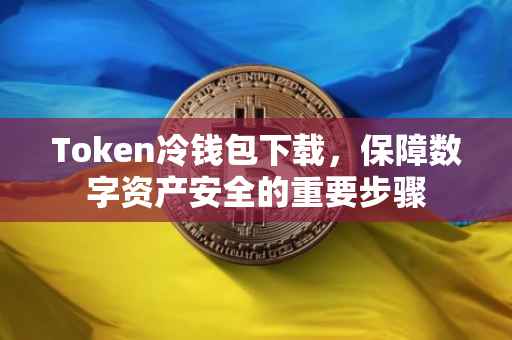 Token冷钱包下载，保障数字资产安全的重要步骤