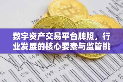 数字资产交易平台牌照，行业发展的核心要素与监管挑战