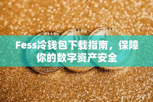 Fess冷钱包下载指南，保障你的数字资产安全