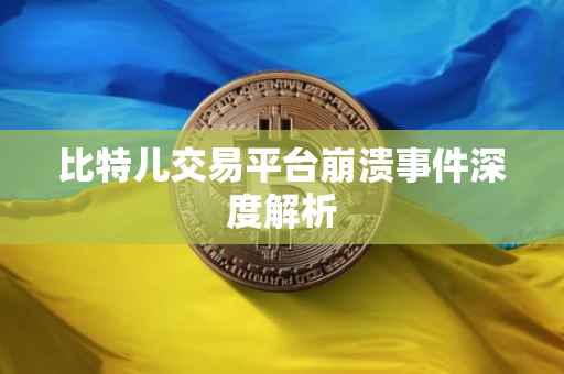 比特儿交易平台崩溃事件深度解析
