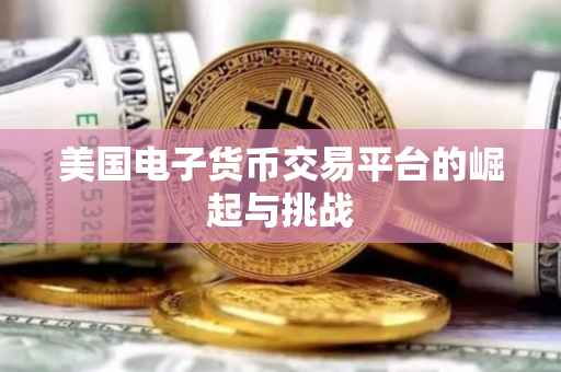 美国电子货币交易平台的崛起与挑战
