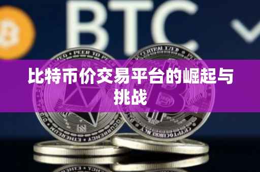 比特币价交易平台的崛起与挑战