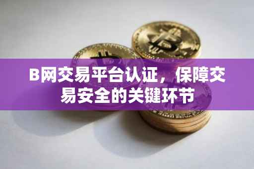 B网交易平台认证，保障交易安全的关键环节