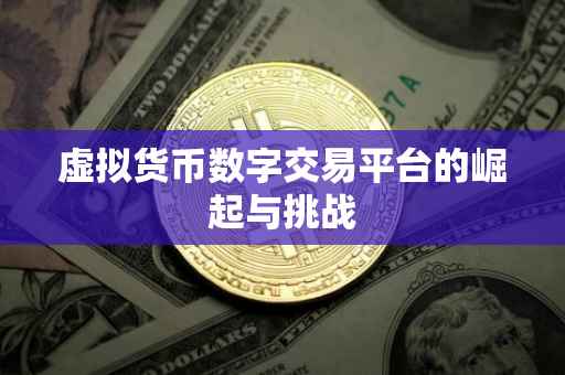 虚拟货币数字交易平台的崛起与挑战