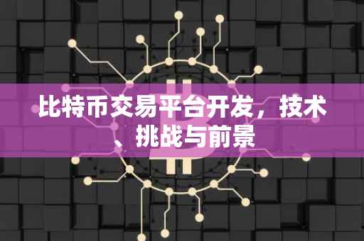 比特币交易平台开发，技术、挑战与前景