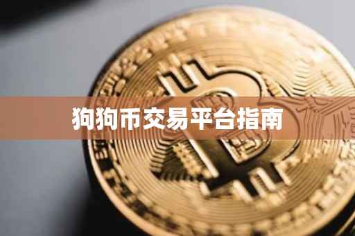 狗狗币交易平台指南