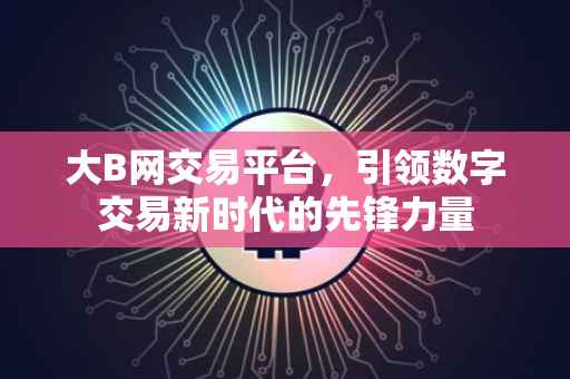 大B网交易平台，引领数字交易新时代的先锋力量