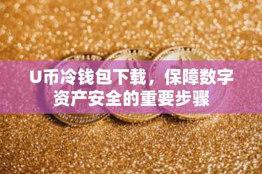 U币冷钱包下载，保障数字资产安全的重要步骤
