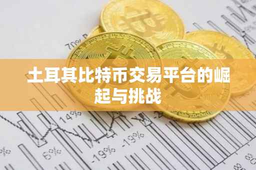 土耳其比特币交易平台的崛起与挑战
