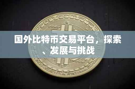 国外比特币交易平台，探索、发展与挑战