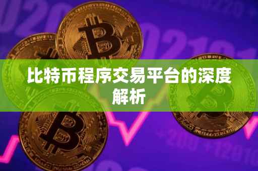 比特币程序交易平台的深度解析