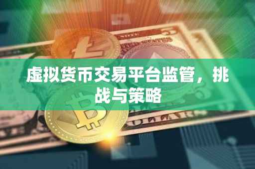 虚拟货币交易平台监管，挑战与策略