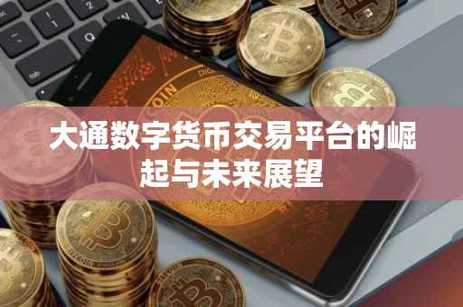 大通数字货币交易平台的崛起与未来展望