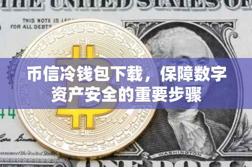 币信冷钱包下载，保障数字资产安全的重要步骤