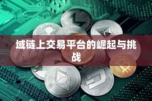 域链上交易平台的崛起与挑战