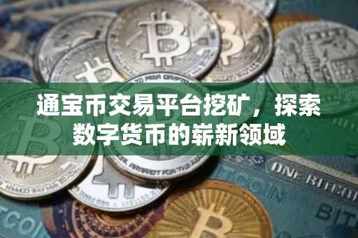 通宝币交易平台挖矿，探索数字货币的崭新领域