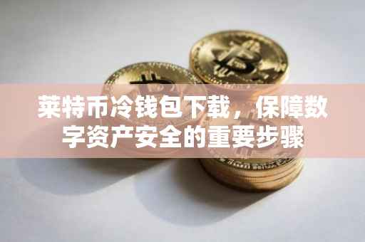 莱特币冷钱包下载，保障数字资产安全的重要步骤