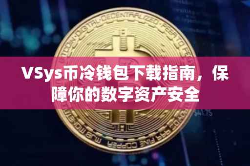 VSys币冷钱包下载指南，保障你的数字资产安全