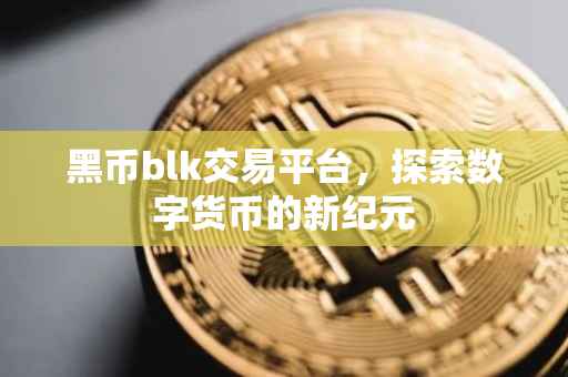 黑币blk交易平台，探索数字货币的新纪元