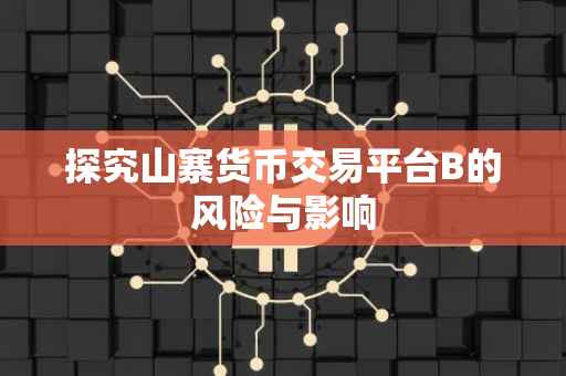 探究山寨货币交易平台B的风险与影响