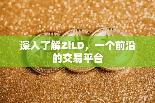 深入了解ZiLD，一个前沿的交易平台