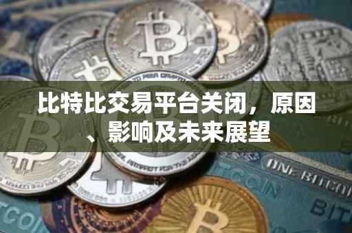 比特比交易平台关闭，原因、影响及未来展望