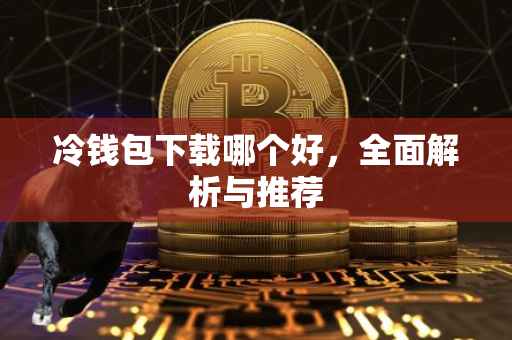 冷钱包下载哪个好，全面解析与推荐