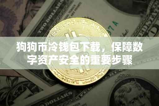 狗狗币冷钱包下载，保障数字资产安全的重要步骤