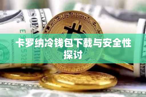 卡罗纳冷钱包下载与安全性探讨